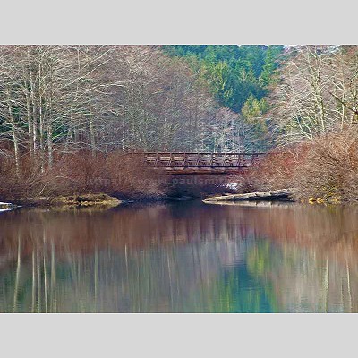 Crest Mountain Trail Bridge